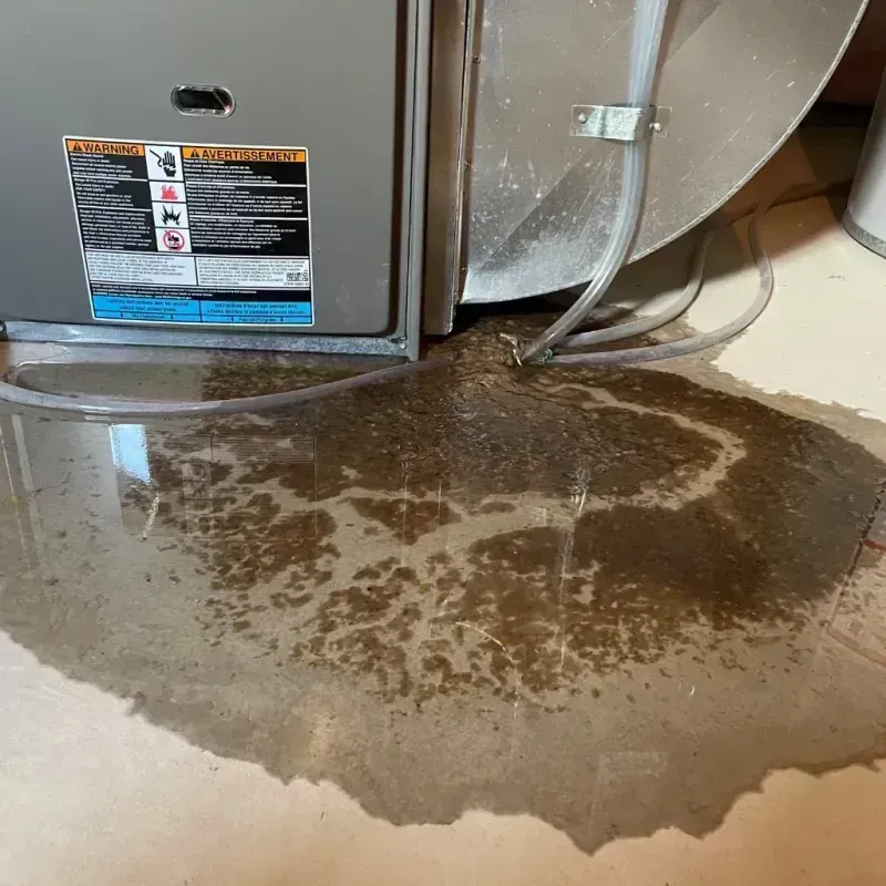 Appliance Leak Cleanup in Steele County, MN